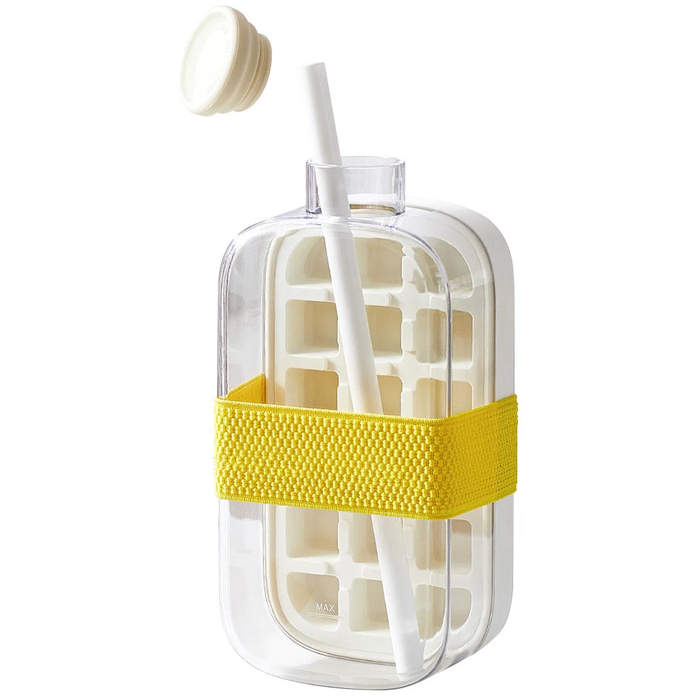 Ice Cube Bottle